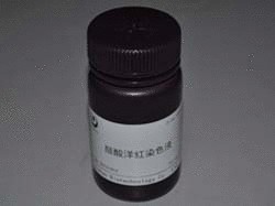 TMB单组分显色液